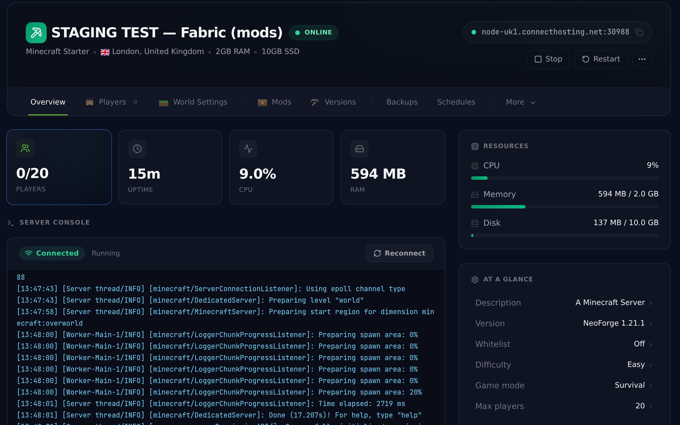 Connect Hosting control panel running a Minecraft server